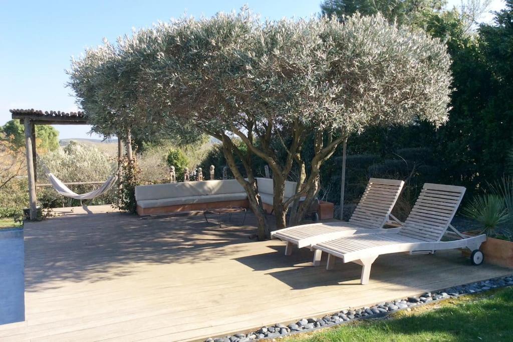 Bastide Languedocienne De Standing - Pezenas Le Clos De L'Amandier Dış mekan fotoğraf