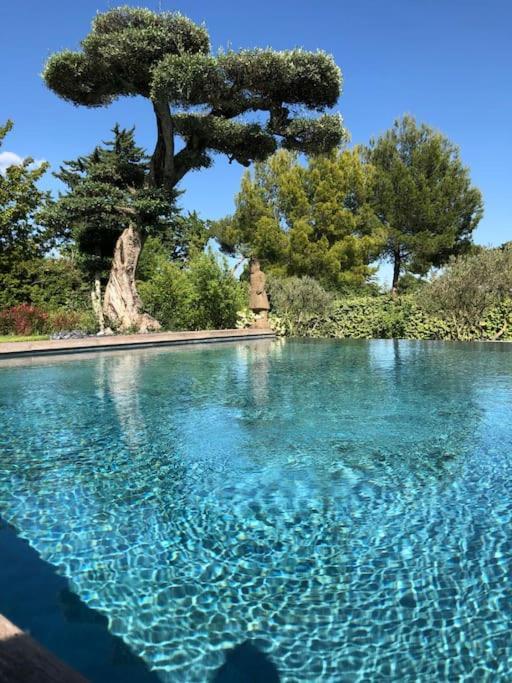 Bastide Languedocienne De Standing - Pezenas Le Clos De L'Amandier Dış mekan fotoğraf