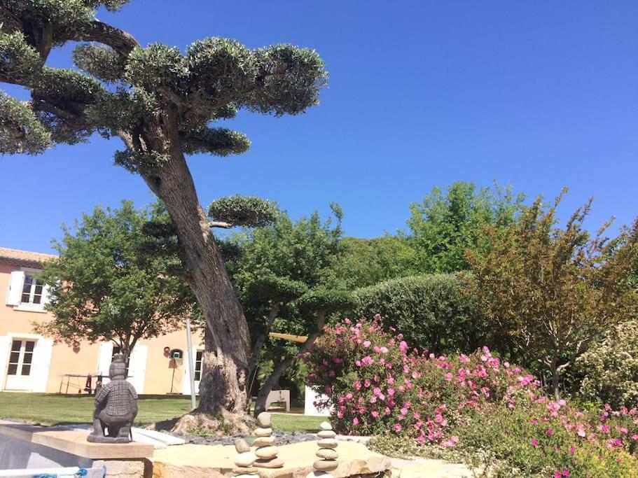 Bastide Languedocienne De Standing - Pezenas Le Clos De L'Amandier Dış mekan fotoğraf